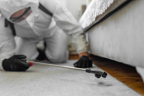 Professional Termite Control technician working in Tappan, NY